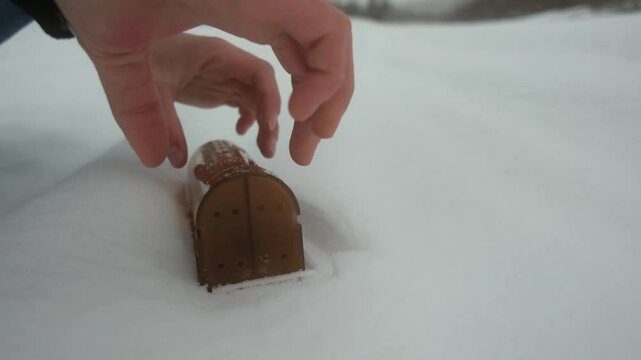 a cute little mouse freed from a strawberry patch in the snow, it runs away