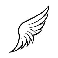 Fototapeta premium eagle with wings