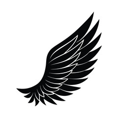 Fototapeta premium eagle with wings