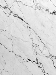 Fototapeta premium White Marble Texture with Black Veins