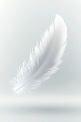 Obraz premium White feather floating on light background 