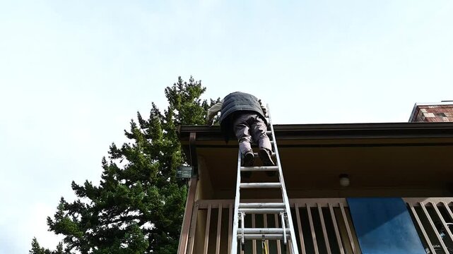 Senior man with on an aluminum extension ladder cleaning pine needles out of a roof gutter, property maintenance
