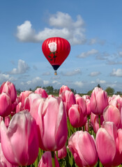 Obraz premium hot air balloon with blue sky over flower field