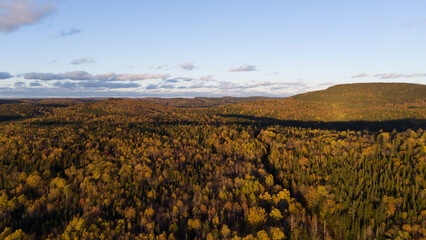  Aerial view of a dense forest with autumn foliage in shades of yellow and orange in Quebec, Canada.