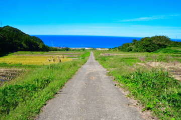 村上中浜の棚田（新潟県）