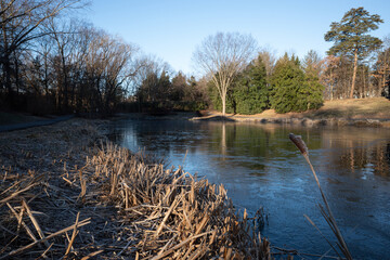 A frozen pond in an early winter morning with a piece of cattail, a walking path and a clear sky