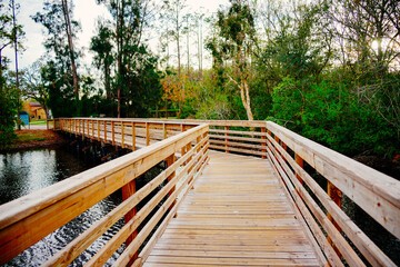 Obraz premium Tampa, Florida USA - Dec 28, 2024: Tampa northdale lake park trail winter landscape 