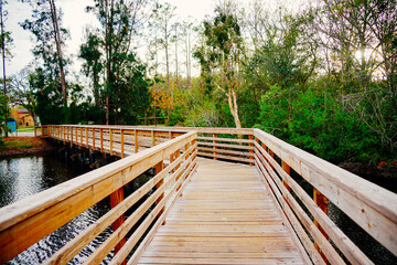 Fototapeta premium Tampa, Florida USA - Dec 28, 2024: Tampa northdale lake park trail winter landscape 