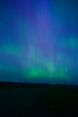 Lights from the North (1 of 6)