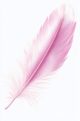 Obraz premium Pink feather illustration on white 