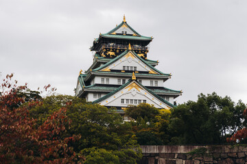 Fototapeta premium Osaka Castle, Osaka city, Japan, summer landscape vibrant view with a blue sky, Osakajo castle building, Kansai region, Osaka prefecture, travel to Japan