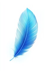 Bright blue feather on white background	