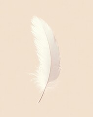 Obraz premium Single white feather on soft beige background 