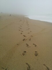 Portuguese beach in the winter