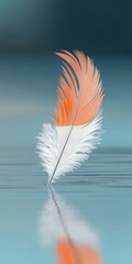 Naklejka premium Orange and white feather floating on water 