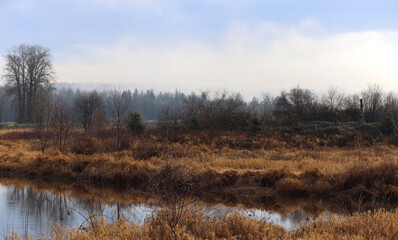Dry grass and tranquil river during autumn