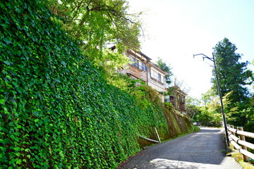 大湯温泉街（新潟県）