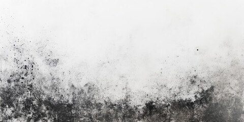 Black mold stains on white walls. Disinfection service background 