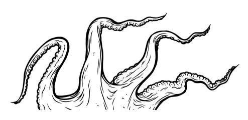 Tentacles of octopus, vector hand drawn collection of illustrations. Black and white engraving style drawings. Tentacle straight and with rings in different angles.
