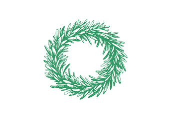 Rosemary Hand Drawn Illustration Sketch Vector Isolated