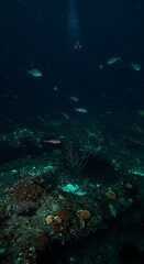 Fototapeta premium Enchanting underwater scene with tropical fish and coral reef