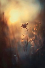 A delicate wildflower