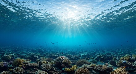 Obraz premium Vibrant coral reef under sunlit ocean water with diverse marine life