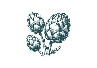 Artichoke Hand Drawn Sketch Vector Isolated
