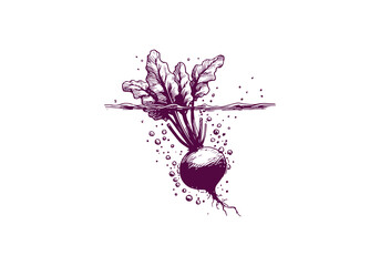 Beetroot Hand Drawn Sketch Vector Isolated