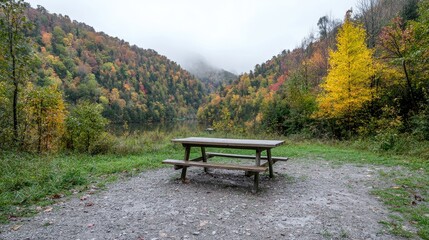 Obraz premium Empty picnic table autumn forest view