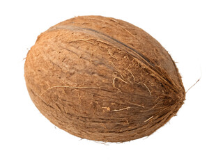 Whole Coconut - Isolated on White Background as Transparent. PNG. AI GENERATED