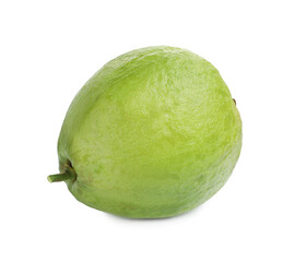 One fresh guava fruit isolated on white