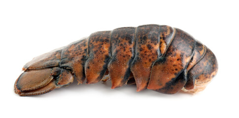 One raw lobster tail isolated on white
