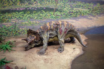 Triceratops Display: Museum Exhibition of a Prehistoric Dinosaur Model