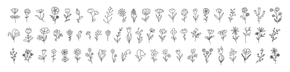 Obraz premium Botanical flower set. Floral, Herbal tree branch collection. Plant, botanical flowers set. Vector