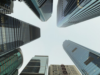 見上げる摩天楼