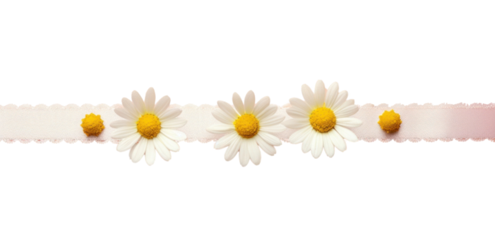 PNG  Daisy pattern adhesive strip flower petal plant.