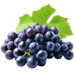 Fototapeta premium Collection of PNG. A Cluster of Grapes with Leaf, isolated on a transparency background.