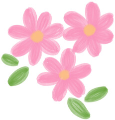Illustration of a small Pink Daisy flower blooming