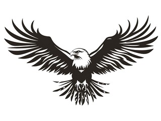Obraz premium Eagle in flight, graphic design, black and white