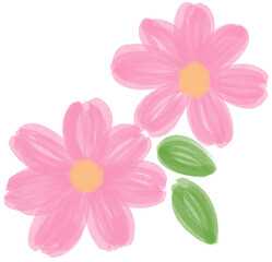 Illustration of a small Pink Daisy flower blooming