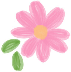 Illustration of a small Pink Daisy flower blooming