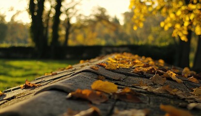 Autumn Leaves Resting on Stone Wall in Park at Sunset