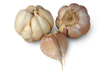  garlic studio shot. garlics clove still life photo on white background