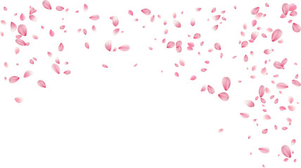 spring banner template cherry blossom Or sakura flying petals vector illustration romantic background with realistic pink cherry flower petals flow or falling motion