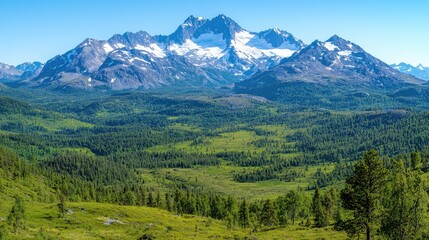 Obraz premium Snow-capped mountain peaks rising above a lush green forest valley under a clear blue sky.
