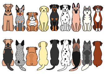 large dogs sitting in a row2, front&back