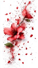Red Hibiscus Flower with Falling Petals