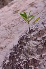Mountain formed from a pile of sand