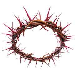 Fototapeta premium A stylized illustration of a Christian crown of thorns, transparent background, PNG